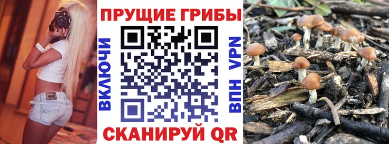 купить  сайты  Новодвинск  Галлюциногенные грибы ЛСД 